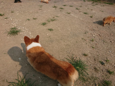 f:id:roukenhome-ann:20190803123245j:plain f:id:roukenhome-ann:20190803123245j:plain