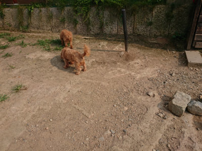 f:id:roukenhome-ann:20190803123256j:plain f:id:roukenhome-ann:20190803123256j:plain
