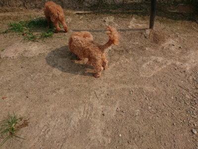 f:id:roukenhome-ann:20190803123304j:plain f:id:roukenhome-ann:20190803123304j:plain