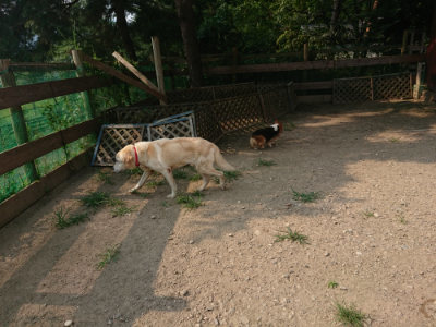 f:id:roukenhome-ann:20190803123320j:plain f:id:roukenhome-ann:20190803123320j:plain