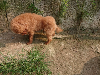 f:id:roukenhome-ann:20190803123334j:plain f:id:roukenhome-ann:20190803123334j:plain
