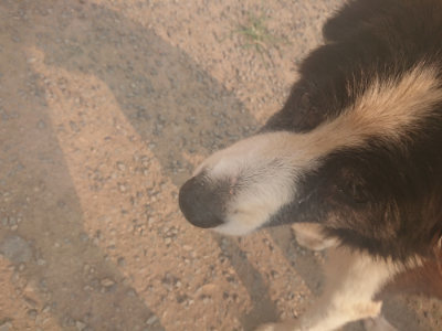 f:id:roukenhome-ann:20190803123346j:plain f:id:roukenhome-ann:20190803123346j:plain