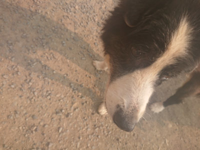 f:id:roukenhome-ann:20190803123357j:plain f:id:roukenhome-ann:20190803123357j:plain