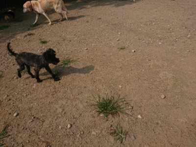f:id:roukenhome-ann:20190803123406j:plain f:id:roukenhome-ann:20190803123406j:plain