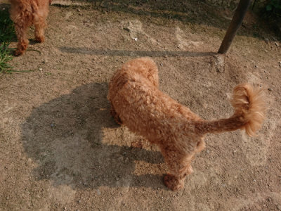 f:id:roukenhome-ann:20190803123415j:plain f:id:roukenhome-ann:20190803123415j:plain