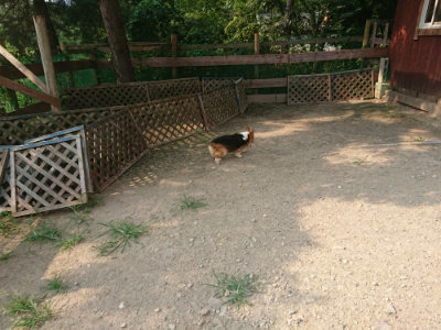 f:id:roukenhome-ann:20190803123433j:plain f:id:roukenhome-ann:20190803123433j:plain