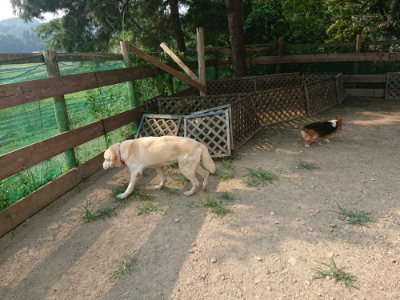 f:id:roukenhome-ann:20190803123459j:plain f:id:roukenhome-ann:20190803123459j:plain