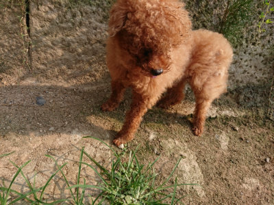 f:id:roukenhome-ann:20190803123508j:plain f:id:roukenhome-ann:20190803123508j:plain
