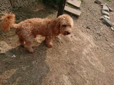 f:id:roukenhome-ann:20190803123516j:plain f:id:roukenhome-ann:20190803123516j:plain