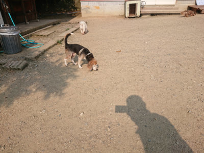 f:id:roukenhome-ann:20190803123546j:plain f:id:roukenhome-ann:20190803123546j:plain