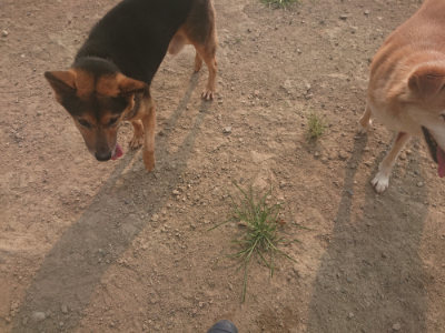 f:id:roukenhome-ann:20190803123601j:plain f:id:roukenhome-ann:20190803123601j:plain