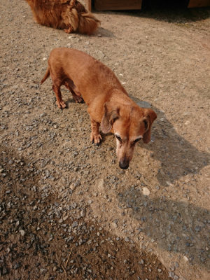 f:id:roukenhome-ann:20190803123620j:plain f:id:roukenhome-ann:20190803123620j:plain
