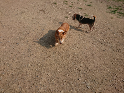 f:id:roukenhome-ann:20190803123636j:plain f:id:roukenhome-ann:20190803123636j:plain