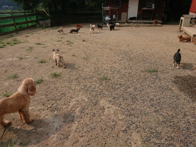 f:id:roukenhome-ann:20190803123642j:plain f:id:roukenhome-ann:20190803123642j:plain