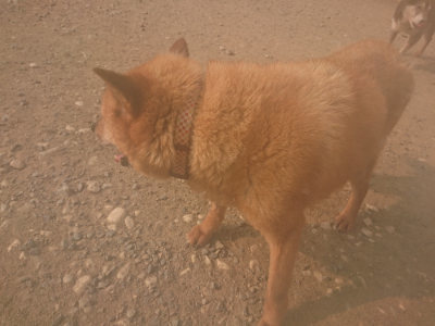 f:id:roukenhome-ann:20190803123647j:plain f:id:roukenhome-ann:20190803123647j:plain
