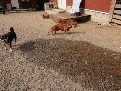 f:id:roukenhome-ann:20190803123710j:plain f:id:roukenhome-ann:20190803123710j:plain