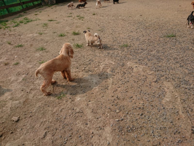 f:id:roukenhome-ann:20190803123820j:plain f:id:roukenhome-ann:20190803123820j:plain