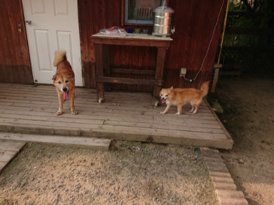 f:id:roukenhome-ann:20190803124631j:plain f:id:roukenhome-ann:20190803124631j:plain
