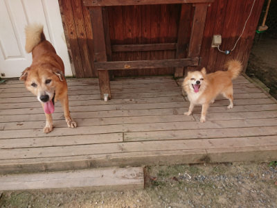 f:id:roukenhome-ann:20190803124721j:plain f:id:roukenhome-ann:20190803124721j:plain