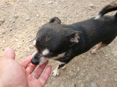 f:id:roukenhome-ann:20190803124728j:plain f:id:roukenhome-ann:20190803124728j:plain