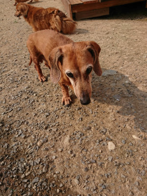f:id:roukenhome-ann:20190803124802j:plain f:id:roukenhome-ann:20190803124802j:plain