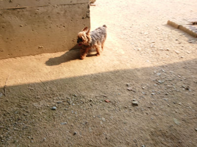 f:id:roukenhome-ann:20190803124813j:plain f:id:roukenhome-ann:20190803124813j:plain