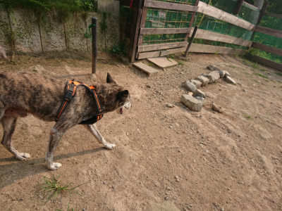 f:id:roukenhome-ann:20190803124825j:plain f:id:roukenhome-ann:20190803124825j:plain