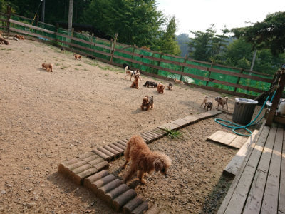 f:id:roukenhome-ann:20190803124832j:plain f:id:roukenhome-ann:20190803124832j:plain