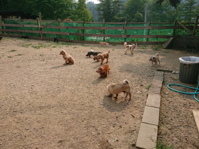 f:id:roukenhome-ann:20190803124854j:plain f:id:roukenhome-ann:20190803124854j:plain