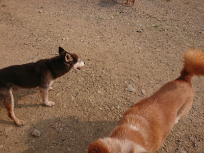 f:id:roukenhome-ann:20190803124902j:plain f:id:roukenhome-ann:20190803124902j:plain