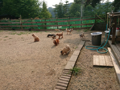 f:id:roukenhome-ann:20190803124911j:plain f:id:roukenhome-ann:20190803124911j:plain