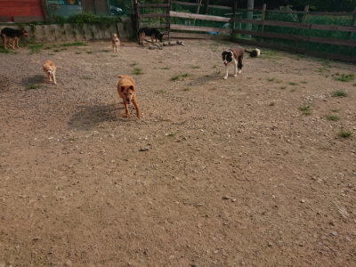 f:id:roukenhome-ann:20190803124925j:plain f:id:roukenhome-ann:20190803124925j:plain