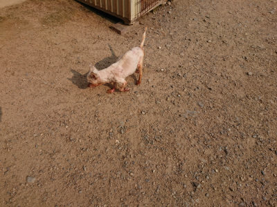 f:id:roukenhome-ann:20190803124932j:plain f:id:roukenhome-ann:20190803124932j:plain