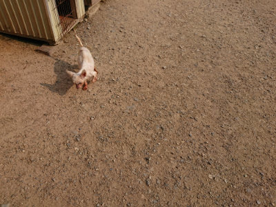 f:id:roukenhome-ann:20190803124947j:plain f:id:roukenhome-ann:20190803124947j:plain