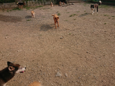f:id:roukenhome-ann:20190803124955j:plain f:id:roukenhome-ann:20190803124955j:plain