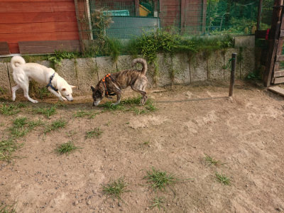 f:id:roukenhome-ann:20190803125009j:plain f:id:roukenhome-ann:20190803125009j:plain