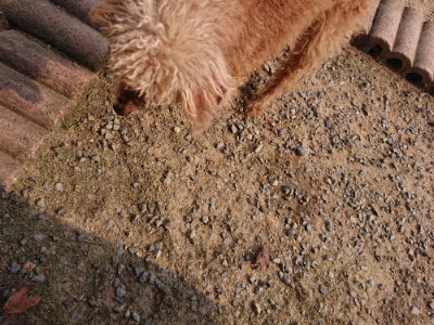 f:id:roukenhome-ann:20190803125016j:plain f:id:roukenhome-ann:20190803125016j:plain