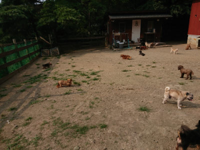 f:id:roukenhome-ann:20190803125024j:plain f:id:roukenhome-ann:20190803125024j:plain