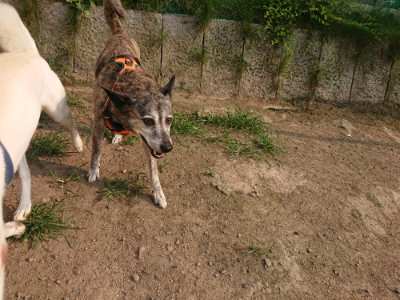 f:id:roukenhome-ann:20190803125031j:plain f:id:roukenhome-ann:20190803125031j:plain