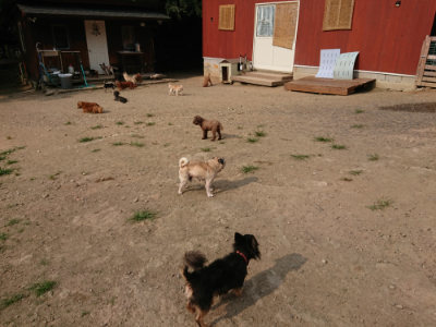 f:id:roukenhome-ann:20190803125038j:plain f:id:roukenhome-ann:20190803125038j:plain