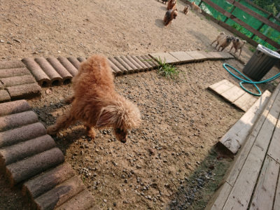 f:id:roukenhome-ann:20190803125058j:plain f:id:roukenhome-ann:20190803125058j:plain