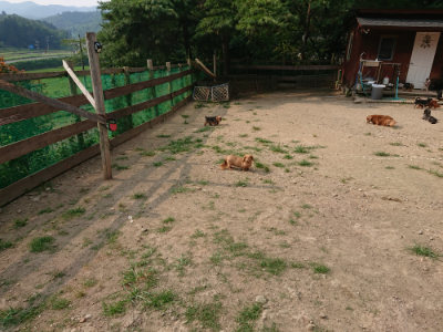 f:id:roukenhome-ann:20190803125132j:plain f:id:roukenhome-ann:20190803125132j:plain