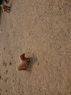 f:id:roukenhome-ann:20190803125152j:plain f:id:roukenhome-ann:20190803125152j:plain