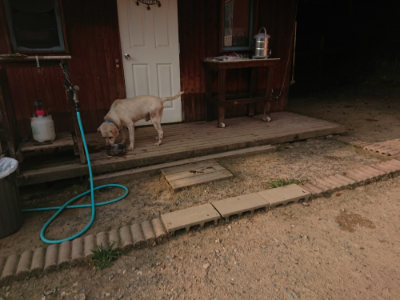 f:id:roukenhome-ann:20190803125158j:plain f:id:roukenhome-ann:20190803125158j:plain