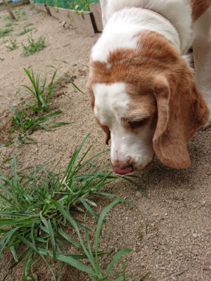 f:id:roukenhome-ann:20190803125207j:plain f:id:roukenhome-ann:20190803125207j:plain