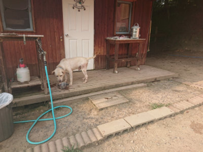 f:id:roukenhome-ann:20190803125243j:plain f:id:roukenhome-ann:20190803125243j:plain