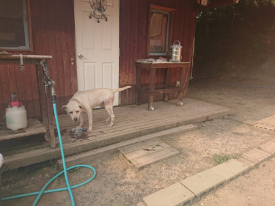 f:id:roukenhome-ann:20190803125252j:plain f:id:roukenhome-ann:20190803125252j:plain