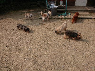 f:id:roukenhome-ann:20190803125325j:plain f:id:roukenhome-ann:20190803125325j:plain