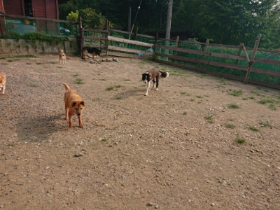 f:id:roukenhome-ann:20190803125342j:plain f:id:roukenhome-ann:20190803125342j:plain