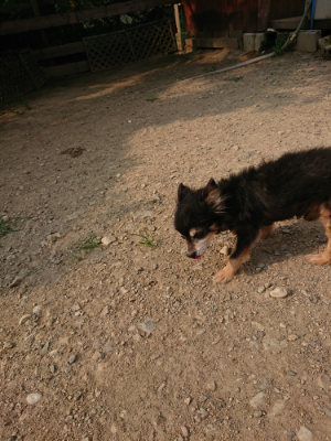 f:id:roukenhome-ann:20190803132103j:plain f:id:roukenhome-ann:20190803132103j:plain